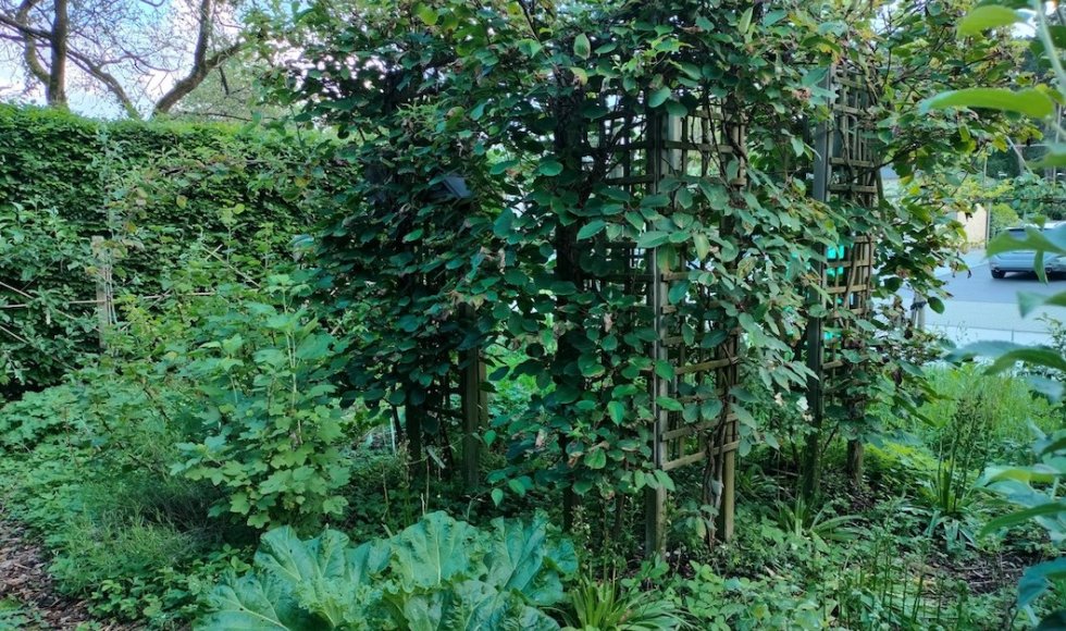 Zoersel Tuin van Lucia 7