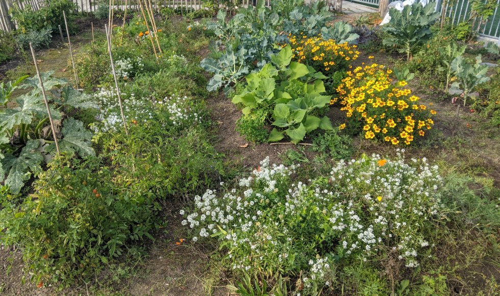 Zwijnaarde Zonnehof 3