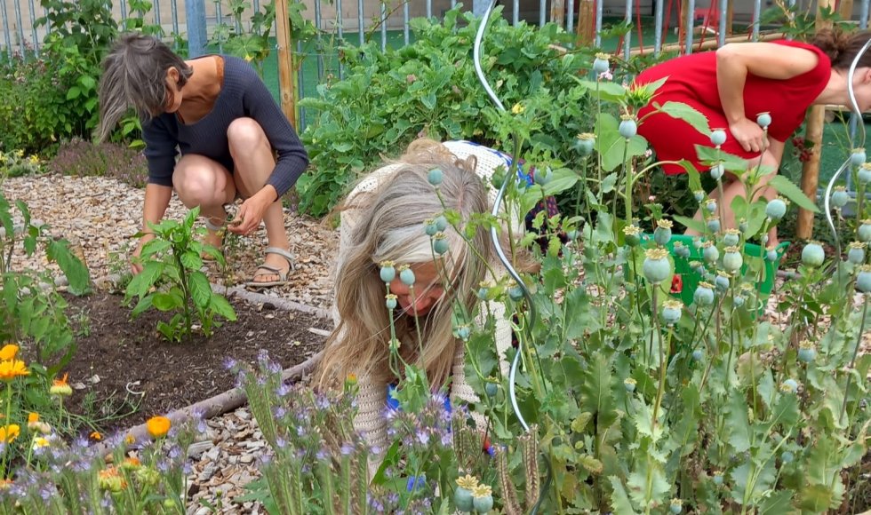 Zwijnaarde Zonnehof 5