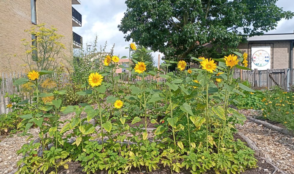 Zwijnaarde Zonnehof 6