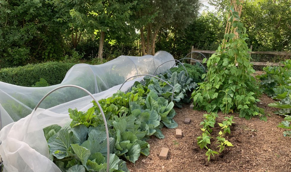 rderij tSpinnenwebVoedselbos en Samentuin tGroen Spinnetrderij tSpinnenwebVoedselbos en Samentuin tGroen Spinnet
