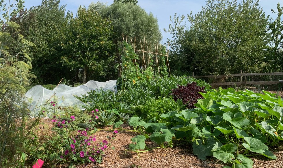 rderij tSpinnenwebVoedselbos en Samentuin tGroen Spinnet