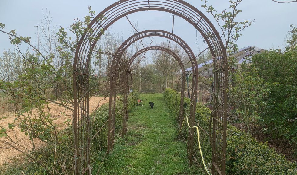 rderij tSpinnenwebVoedselbos en Samentuin tGroen Spinnet
