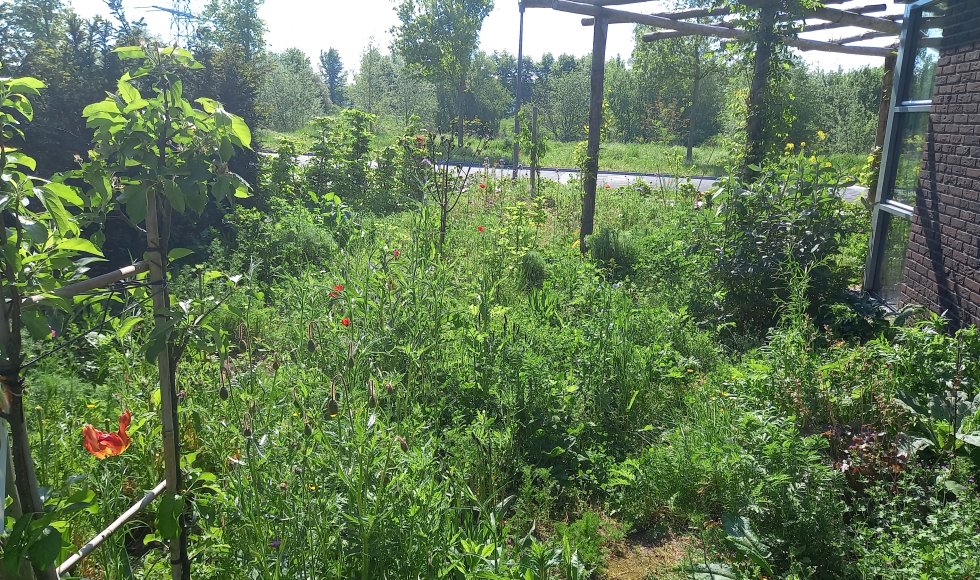 Zutphen Onze Doet Het Zelftuin 1