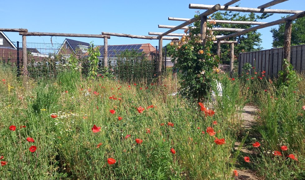 Zutphen Onze Doe Het Zelf Tuin 2