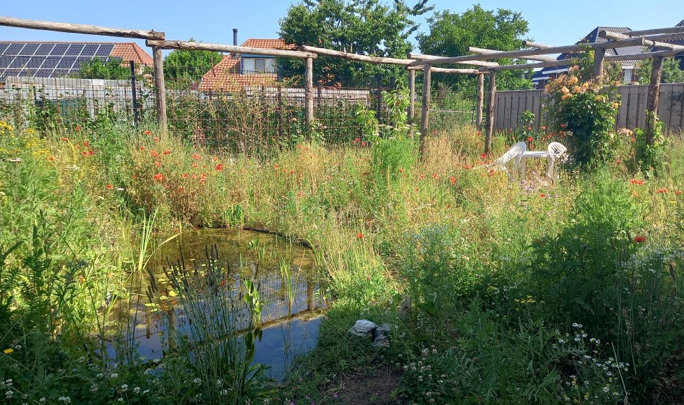 Zutphen Onze Doe Het Zelf Tuin 3