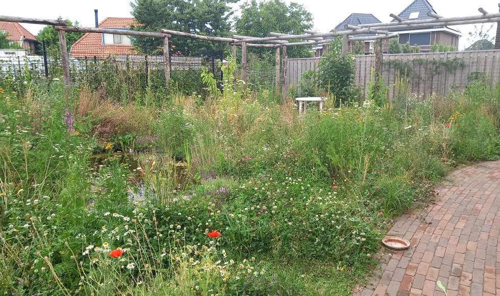 Zutphen Onze Doe Het Zelf Tuin 4