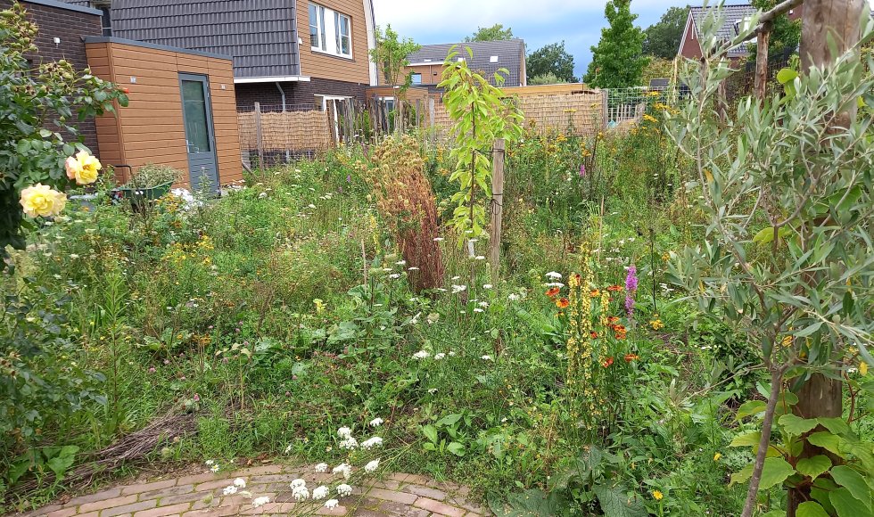Zutphen Onze Doe Het Zelf Tuin 5