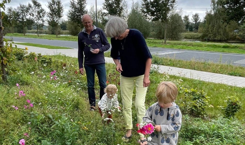 Zutphen Onze Doe Het Zelf Tuin 8