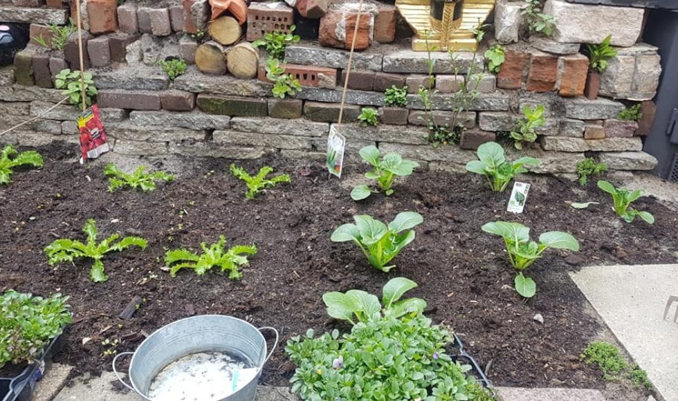 NatuurRijke voorbeeldtuin Loek Gorris