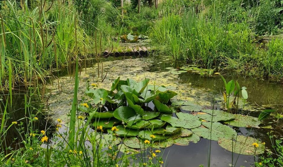 NatuurRijke voorbeeldtuin Loek Gorris