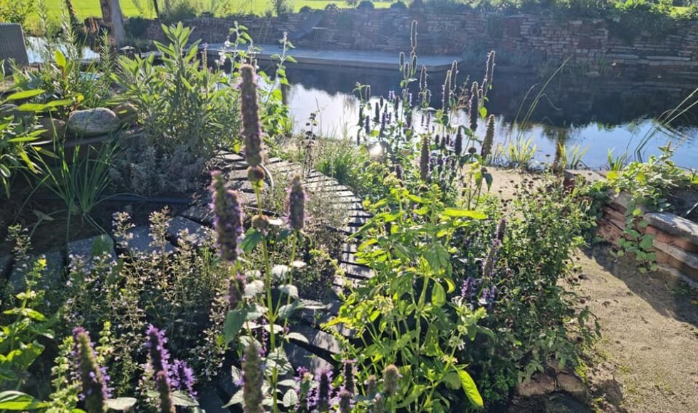 NatuurRijke voorbeeldtuin Loek Gorris