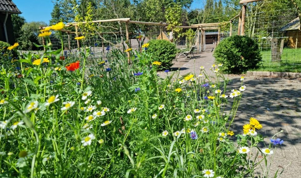 NatuurRijke voorbeeldtuin Loek Gorris