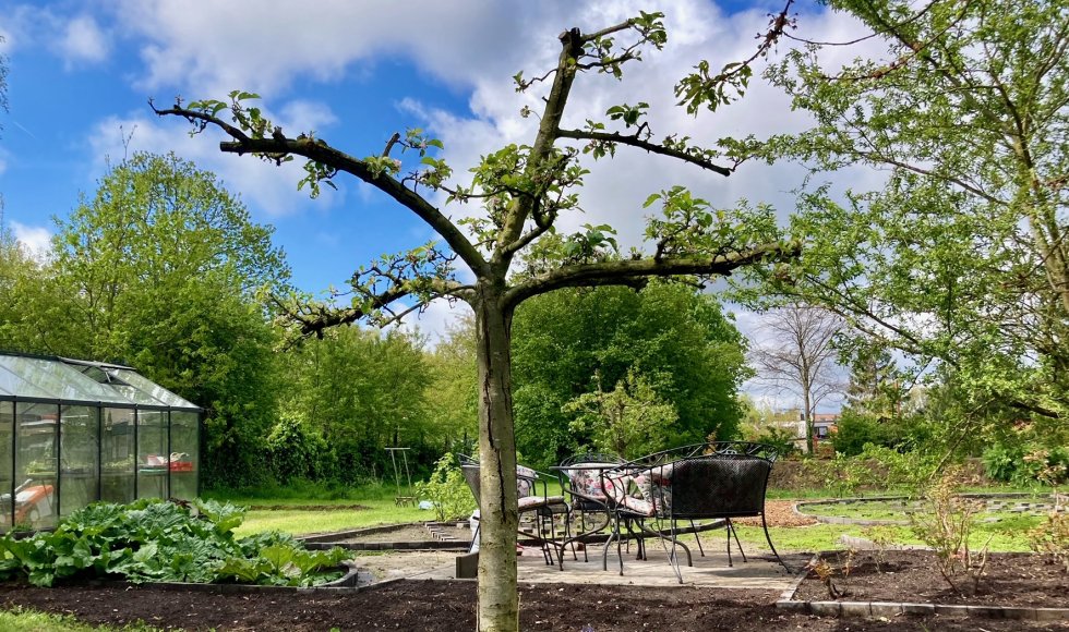 Zwijnaarde Tuin familie Neirynck 6