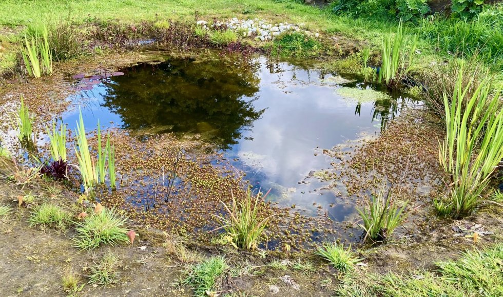 Zwijnaarde Tuin familie Neirynck 2