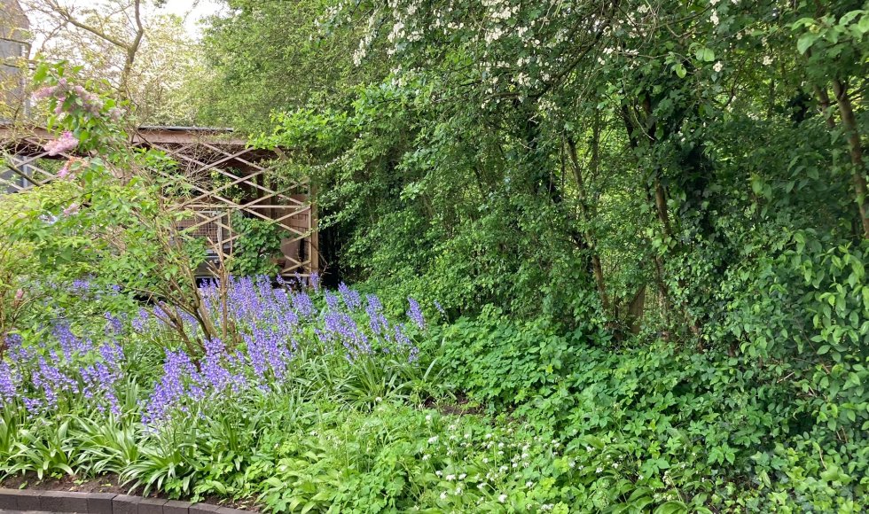Zwijnaarde Tuin familie Neirynck 7