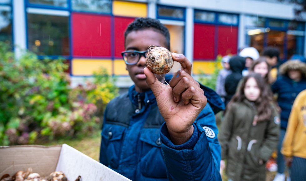 Aanplant van biologische bloembollen