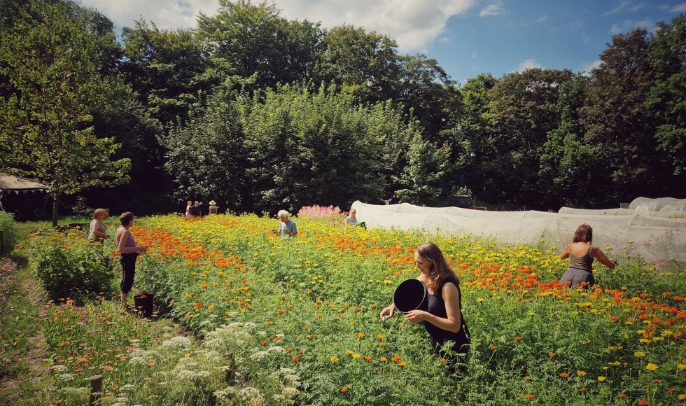 AardigAards_Mariakerke