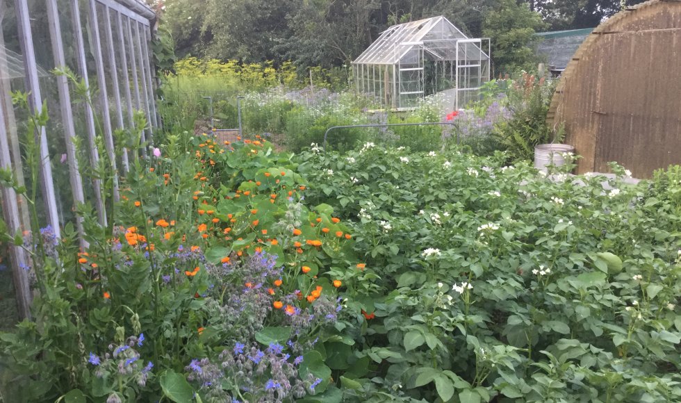 Voedseltuin Silex Fruitbos