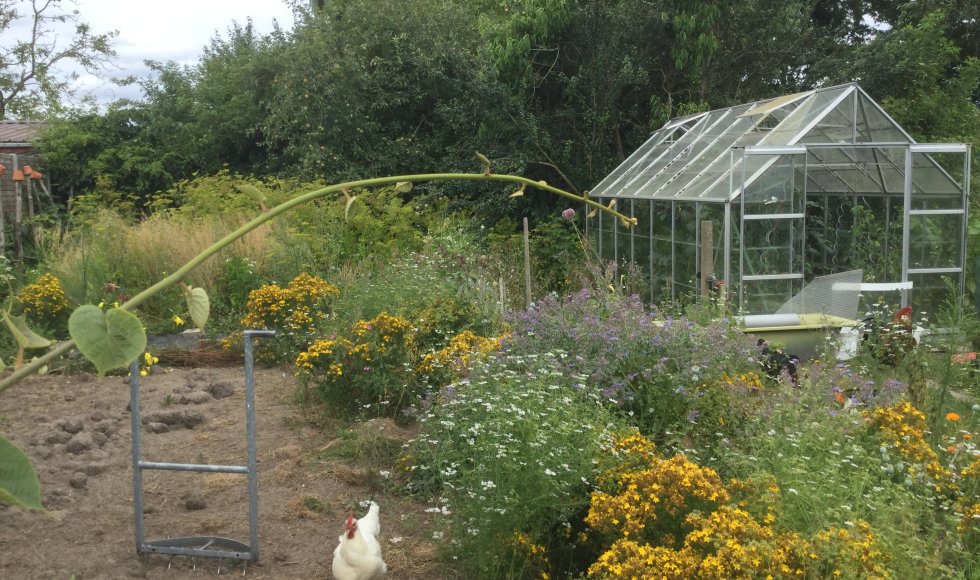 Voedseltuin Silex Fruitbos