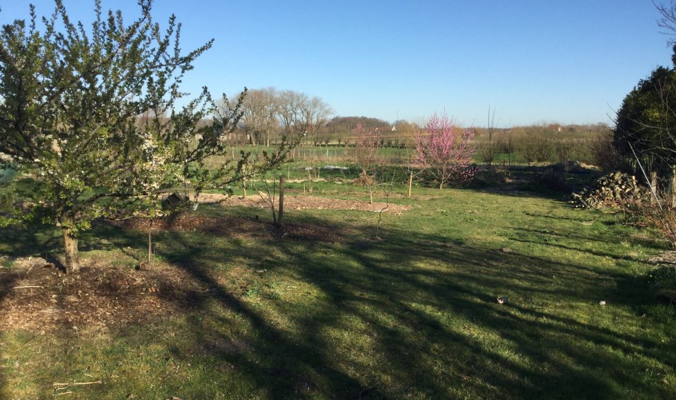 Voedseltuin Silex Fruitbos