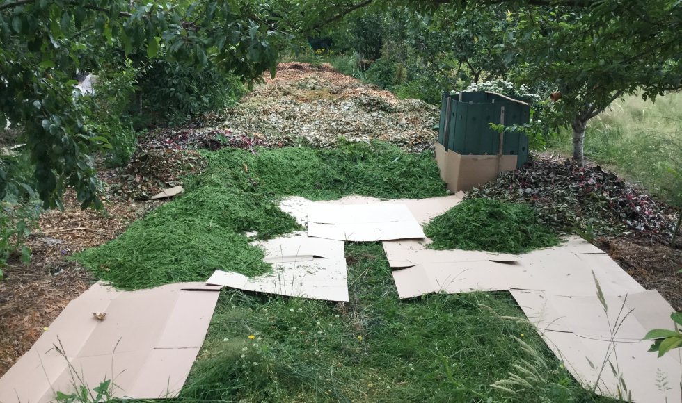 Voedseltuin Silex Fruitbos