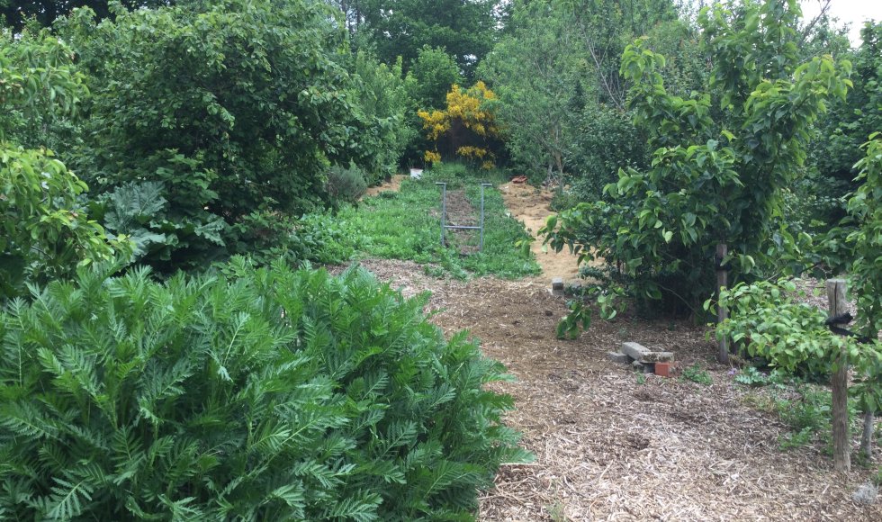 Voedseltuin Silex Fruitbos