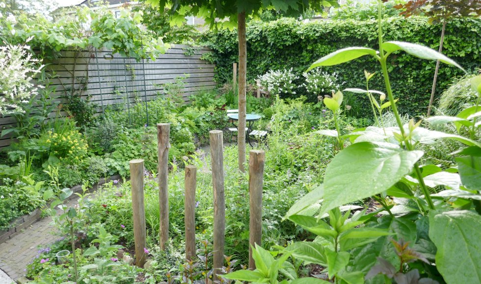 Jossy - Tuin van De Bloeigaard