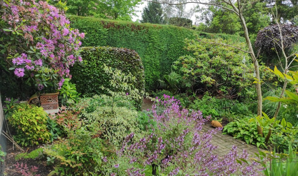 alsemberg tuin van danielle 4