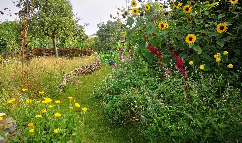 Biodiverse sier- en moestuin met verschillende biotopen