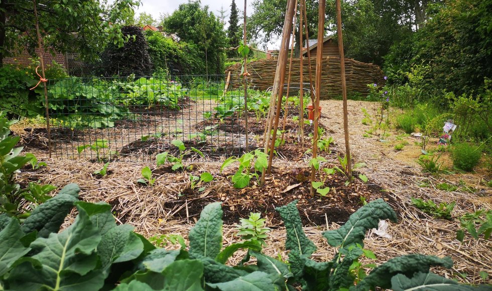 Biodiverse sier- en moestuin met verschillende biotopen