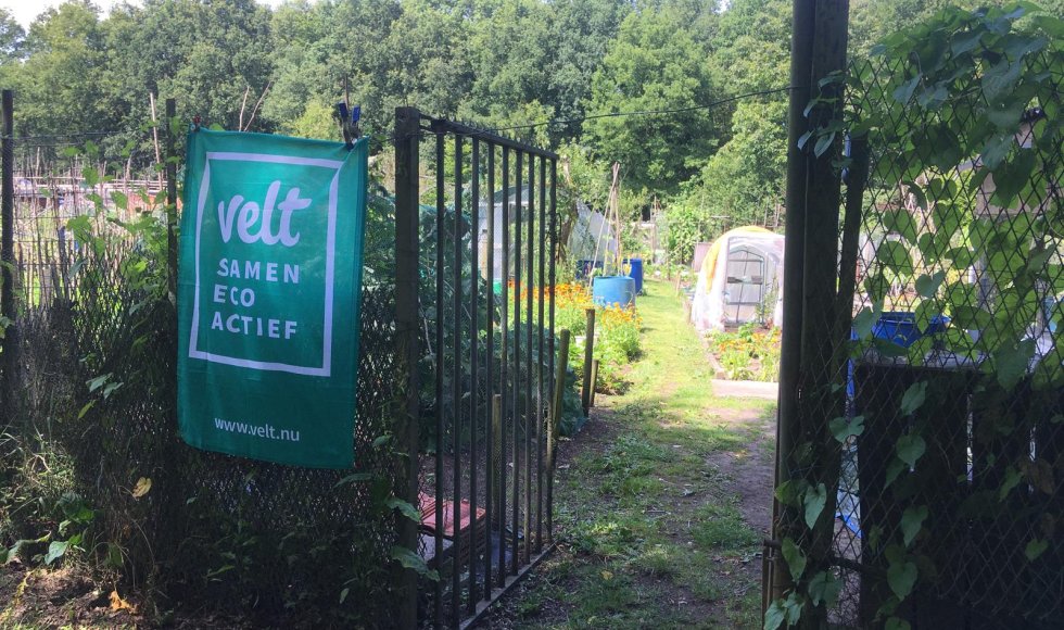 Moest- &amp; pluktuin telen &amp; delen