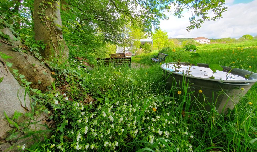 Andenne_Ruefonddebousalle_inmybackyard