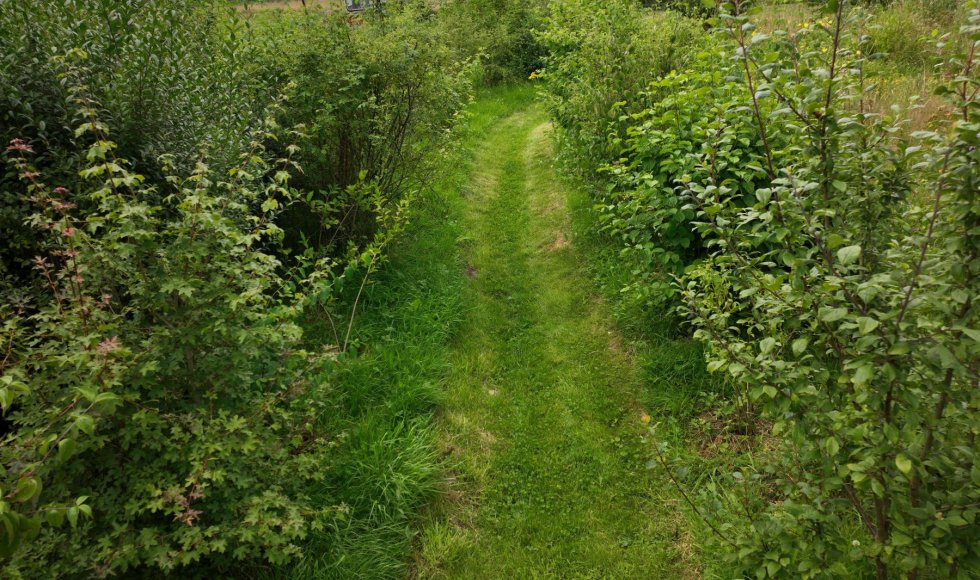 Andenne_Ruefonddebousalle_inmybackyard