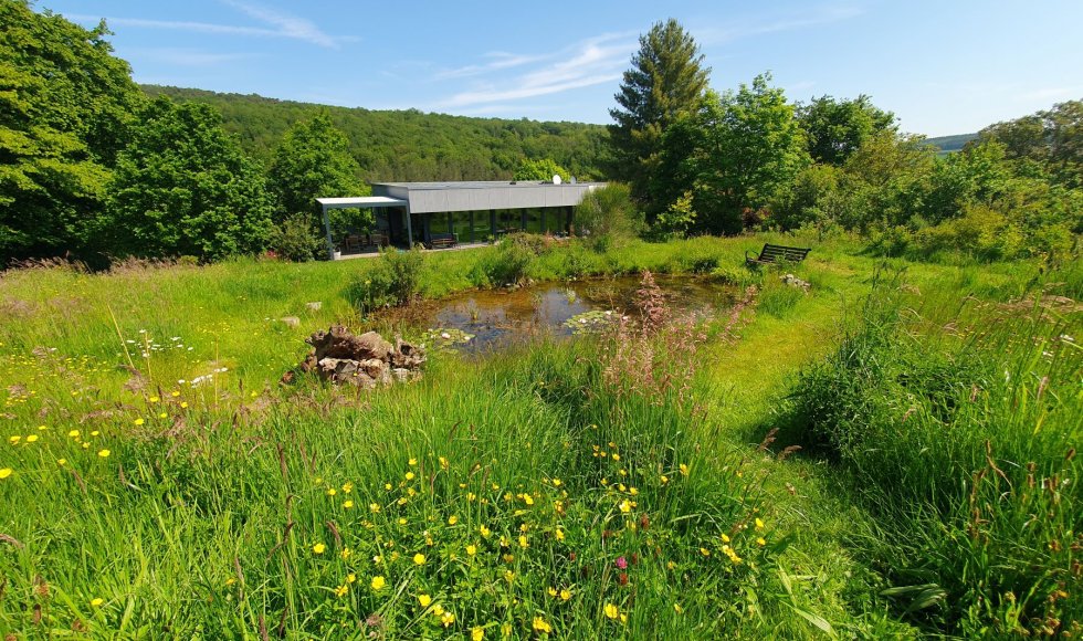 Andenne_Ruefonddebousalle_inmybackyard