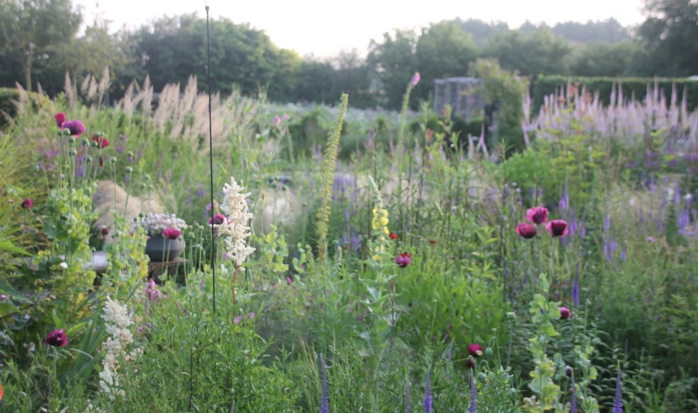 Madame natuurlijk rijk
