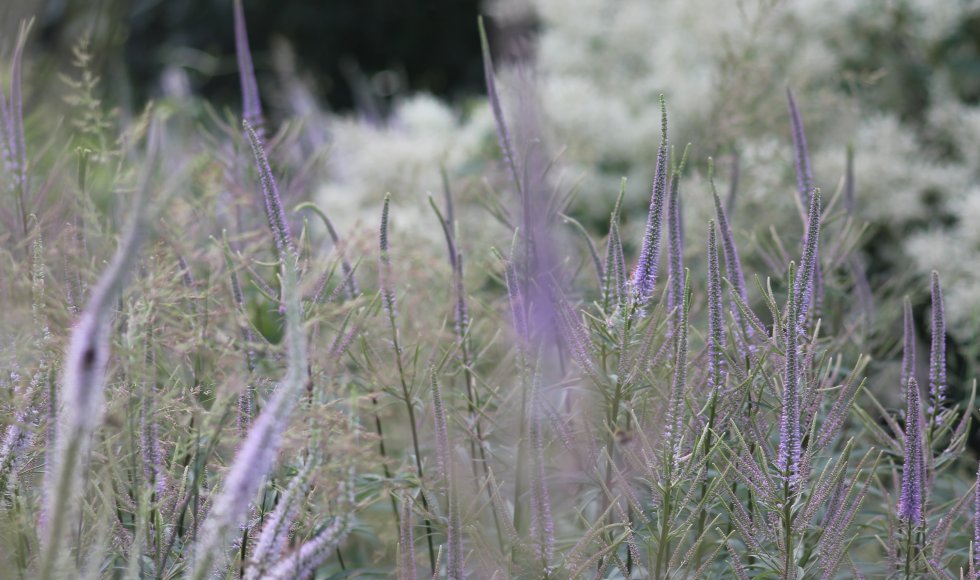 Madame natuurlijk rijk