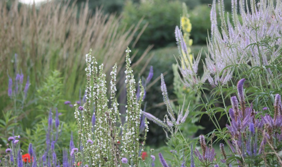 Madame natuurlijk rijk