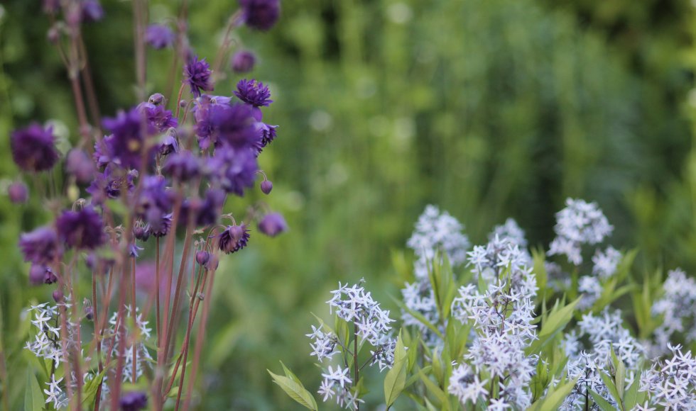 Madame natuurlijk rijk