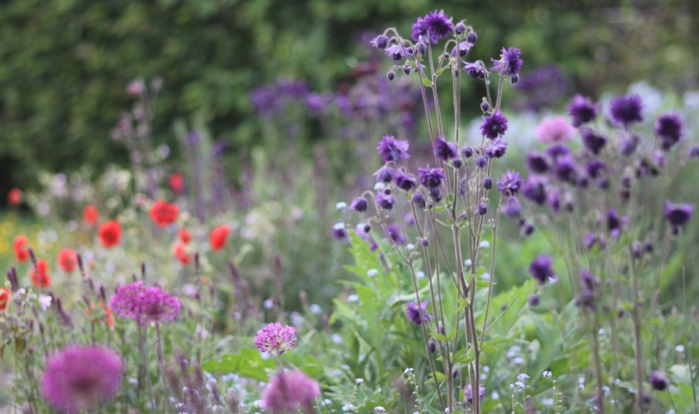 Madame natuurlijk rijk