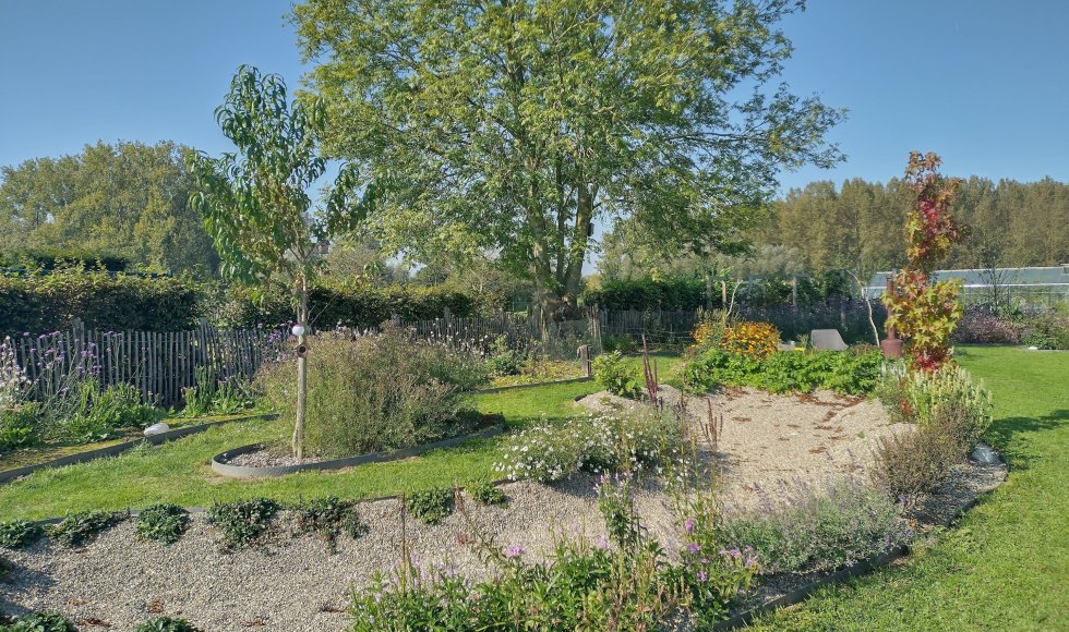 Aspelare_geraardsbergsesteenweg_ontluikendefamilietuin