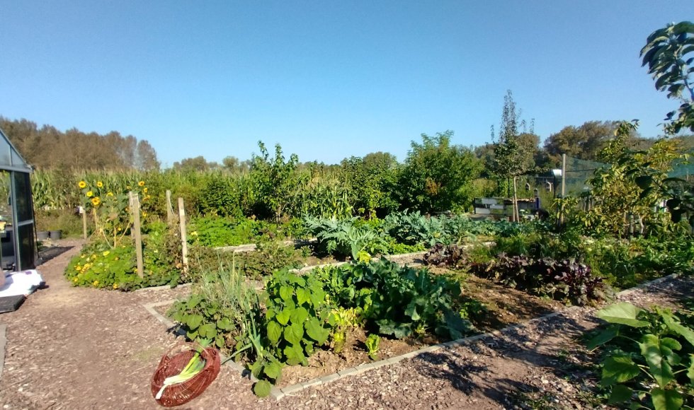 Aspelare_geraardsbergsesteenweg_ontluikendefamilietuin