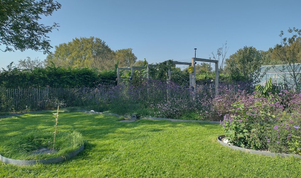 Aspelare_geraardsbergsesteenweg_ontluikendefamilietuin