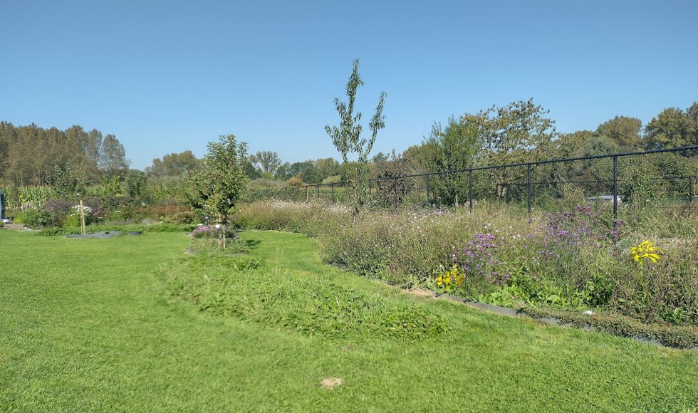 Aspelare_geraardsbergsesteenweg_ontluikendefamilietuin