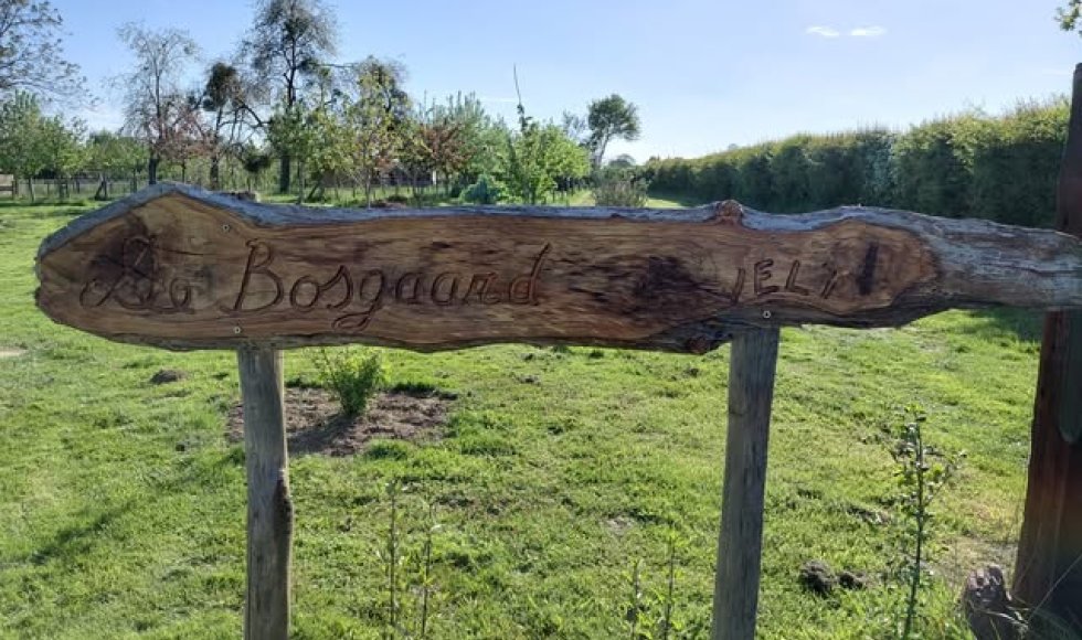 Bosgaard_Vliermaal_open deur