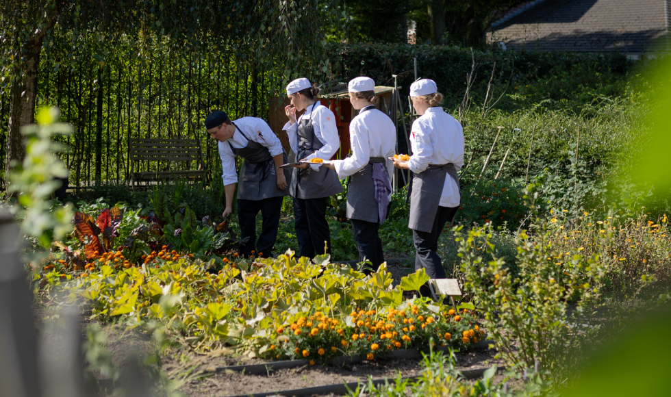 breda_monseigneurhopmansstraat_buascommunitygarden