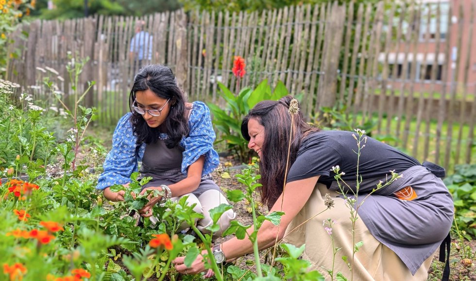 breda_monseigneurhopmansstraat_buascommunitygarden