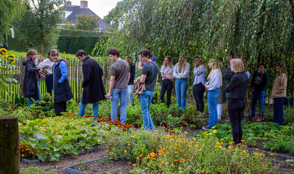 breda_monseigneurhopmansstraat_buascommunitygarden