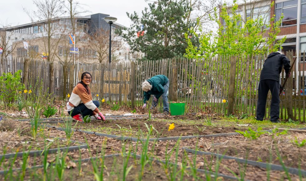 breda_monseigneurhopmansstraat_buascommunitygarden