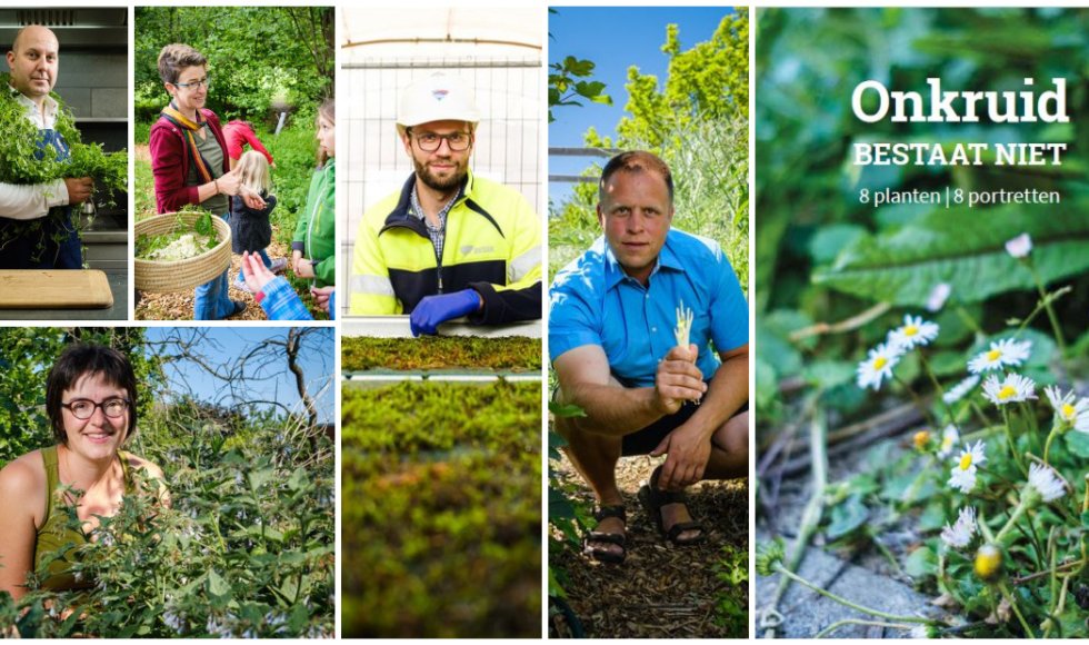 Brochure Onkruid bestaat niet